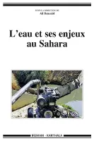 L'eau et ses enjeux au Sahara