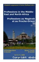 Professions in the Middle-East and North-Africa