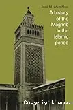 A history of the Maghrib in the Islamic period