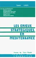 Les enjeux stratégiques en Méditerranée